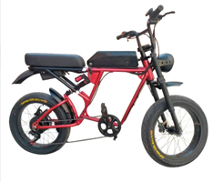 20inch Fat Tire Electric Bicycle With 7 Speed-assisted Beach Lithium Battery Mountain Bike