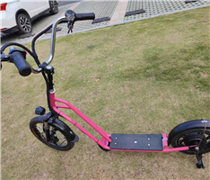 Electric Bike Scooter