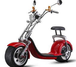 N5 Citycoco Electric scooter