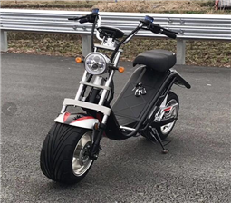 Battery removable citycoco electric scooter