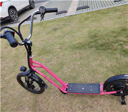 Electric Bike Scooter