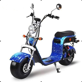 Sh13 removable battery Citycoco electric scooter