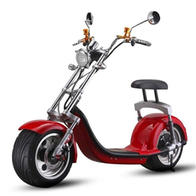N5 Citycoco Electric scooter