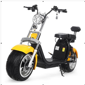 60V 1500W APP Citycoco electric scooter