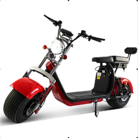 APP dual Battery Citycoco Electric scooter