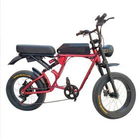 20inch Fat Tire Electric Bicycle With 7 Speed-assisted Beach Lithium Battery Mountain Bike