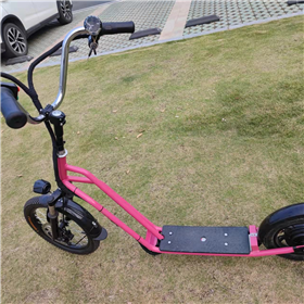 Electric Bike Scooter